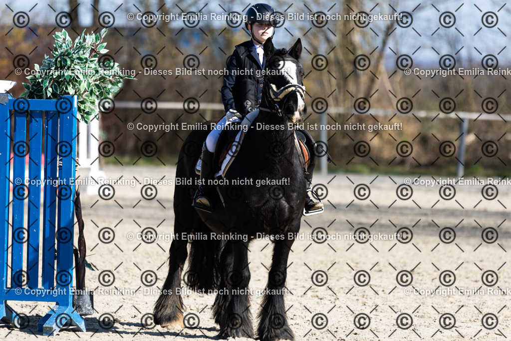 CL5A3176 | Emilia Reinking Fotografie - Realisiert mit Pictrs.com