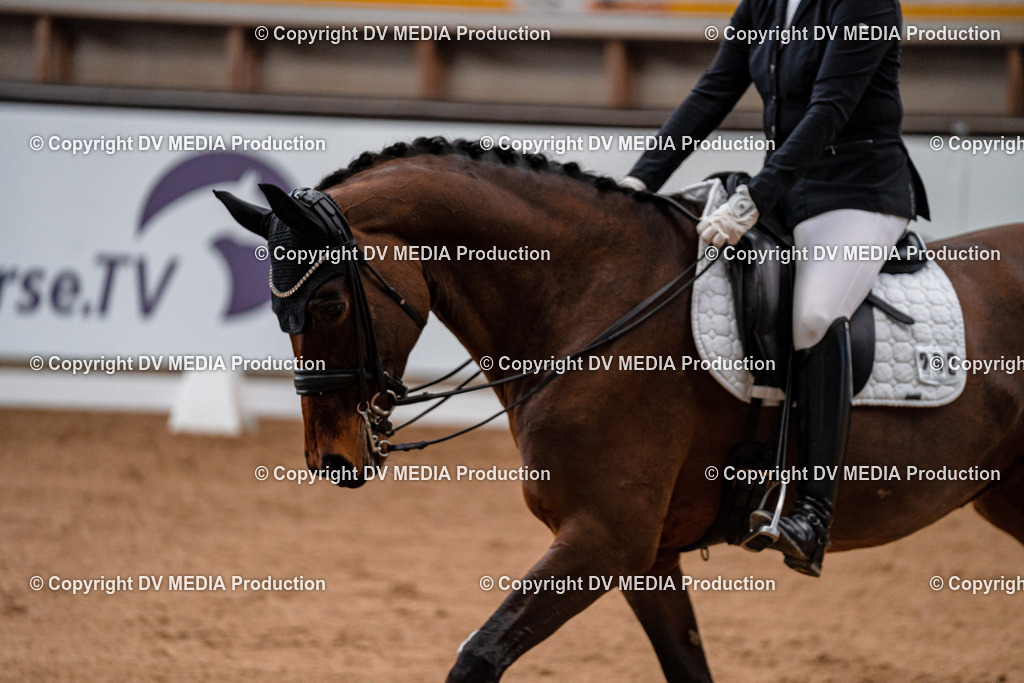 Kranichstein Tag 1-365 | dv-media-shop - Realisiert mit Pictrs.com