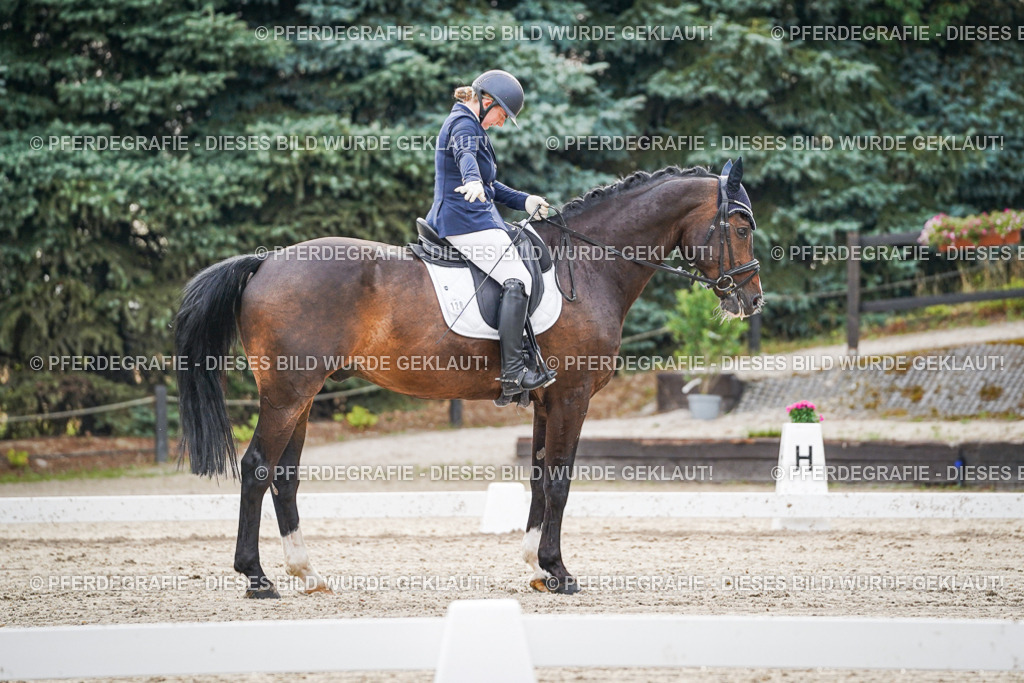 DSC00208 | Pferdegrafie