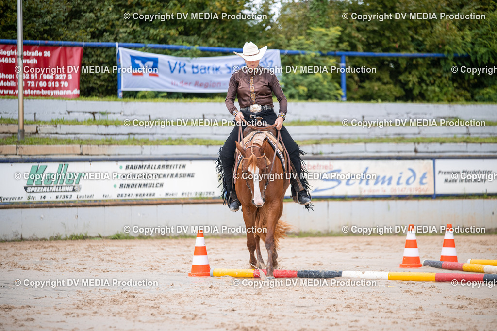 ZS2_4005 | dv-media-shop - Realisiert mit Pictrs.com