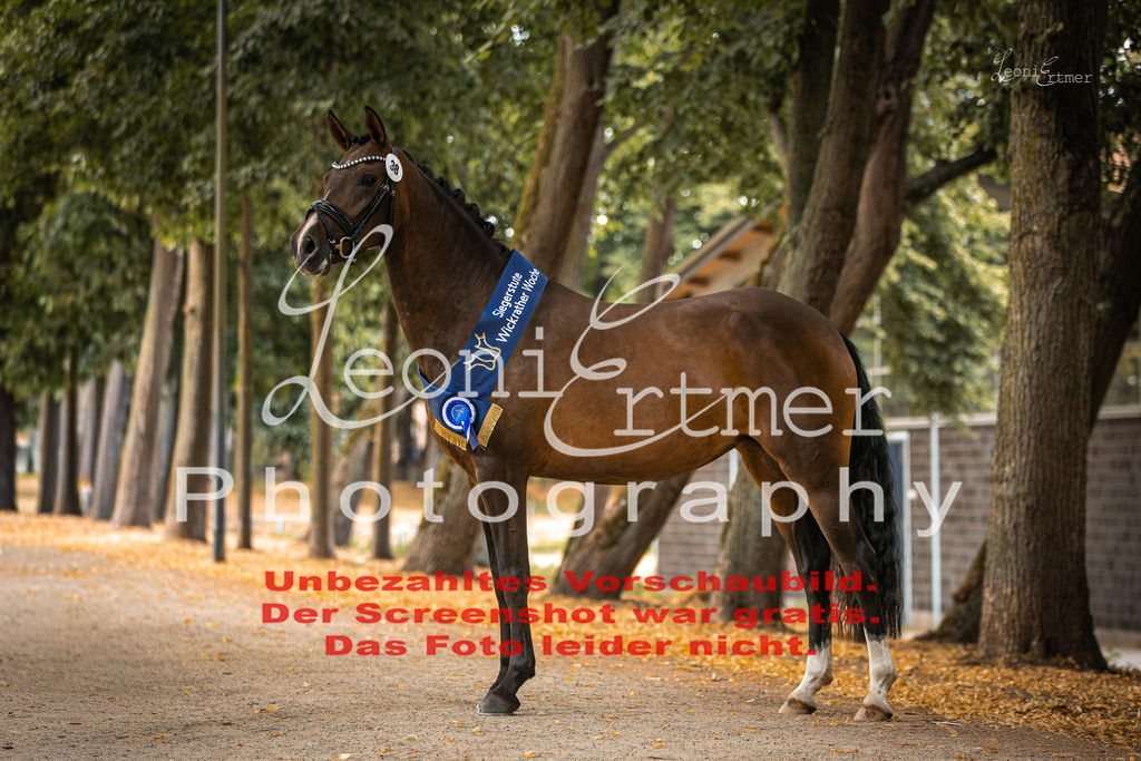 SoER00159 | Leoni Ertmer Photography - Realisiert mit Pictrs.com