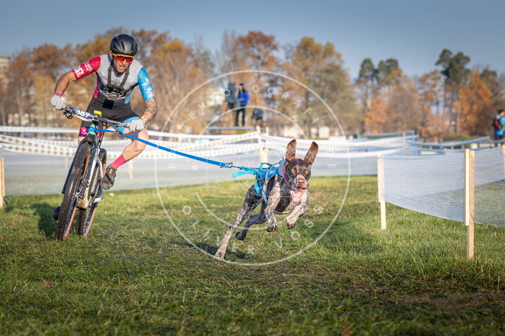 CaniXpix_0L8A3834 | Hundefotografie, Tierfotograf, Pfotenfotografie, Fotoshooting Hund, Hunde Portrait, Hundesport, Hundeportraits, Heideshooting, Hunde, Sportfotograf, Hundefotograf, Turnierhundsport, THS,  - Realisiert mit Pictrs.com