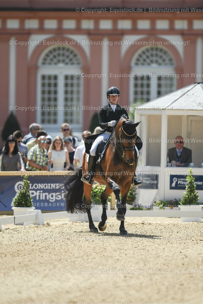 20230527_01_GP-Kür-Tour_0102 | equistock