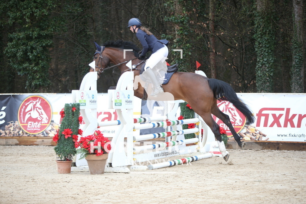 AS8V9639 | Willkommen bei Brunnmayr - Design & Fotografie – Ihrem Spezialisten für Reitturniere und Pferdeveranstaltungen in Oberösterreich, Salzburg und Bayern! Seit über 17 Jahren sind wir leidenschaftlich dabei.