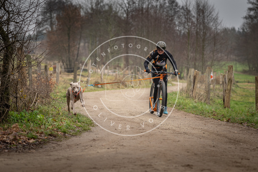 Pfotenfotografie_DV3A2474 | Hundefotografie, Tierfotograf, Pfotenfotografie, Fotoshooting Hund, Hunde Portrait, Hundesport, Hundeportraits, Heideshooting, Hunde, Sportfotograf, Hundefotograf, Turnierhundsport, THS,  - Realisiert mit Pictrs.com