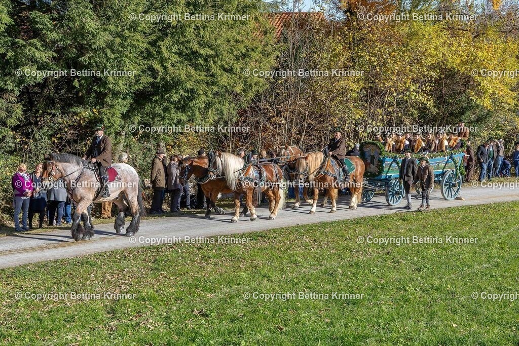 LBT25-839 | foto-bettina-krinner - Realisiert mit Pictrs.com