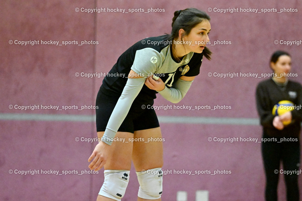 ASKÖ Volley Eagles vs. VC Raiffeisen Dornbirn 26.11.2022 | #11 PRANJIC Ana