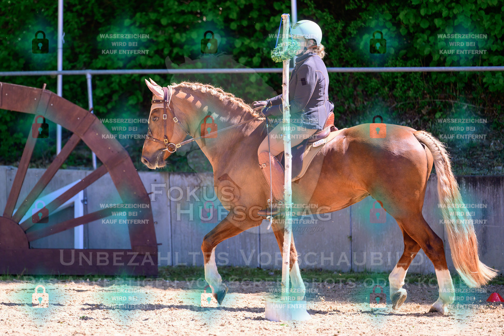 02052026-Giesenbach-01-Stiltrail-0355 | Fokus Hufschlag Fotografie - Realisiert mit Pictrs.com