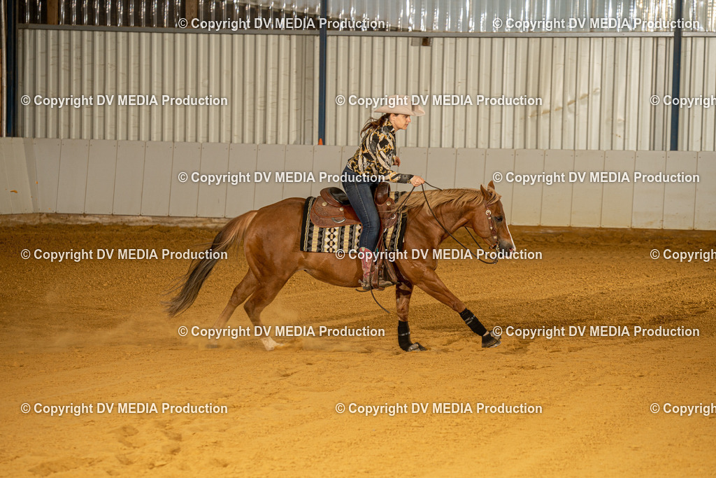 MIT00527 | dv-media-shop - Realisiert mit Pictrs.com