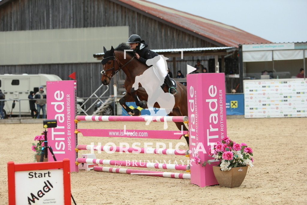 DL2Q3110 | Willkommen bei Brunnmayr - Design & Fotografie – Ihrem Spezialisten für Reitturniere und Pferdeveranstaltungen in Oberösterreich, Salzburg und Bayern! Seit über 17 Jahren sind wir leidenschaftlich dabei.