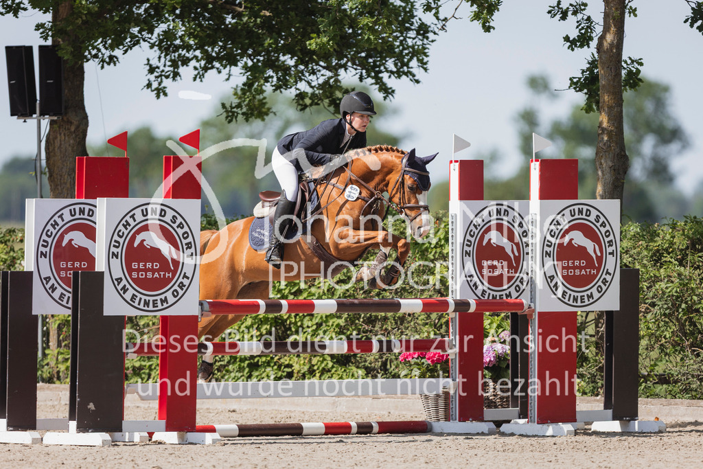 250621_Lemwerder_QualiBuChaPonys5-6-600 | Deine schönsten Turniermomente als professionelle Fotos! Entdecke hochwertige Pferdesport-Fotografie im Online-Shop. Jetzt Fotos finden & bestellen!