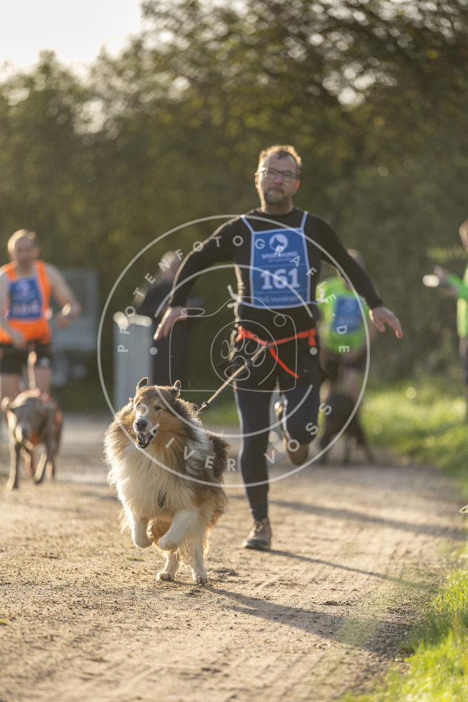 Pfotenfotografie.de_DV3A2673 | Hundefotografie, Tierfotograf, Pfotenfotografie, Fotoshooting Hund, Hunde Portrait, Hundesport, Hundeportraits, Heideshooting, Hunde, Sportfotograf, Hundefotograf, Turnierhundsport, THS, canicross - Realisiert mit Pictrs.com