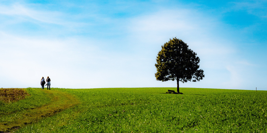 Wanderung Heimetschwand - Grosshöchstetten, Hangimaad Zäziwil | Zwei Frauen wandern den Eichiweg hoch vorbei an der Eiche - Realisiert mit Pictrs.com