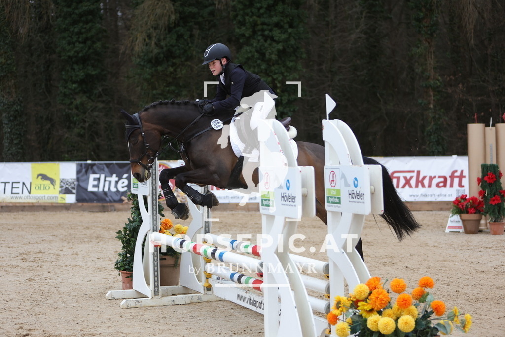 0P6A4210 | Willkommen bei Brunnmayr - Design & Fotografie – Ihrem Spezialisten für Reitturniere und Pferdeveranstaltungen in Oberösterreich, Salzburg und Bayern! Seit über 17 Jahren sind wir leidenschaftlich dabei.