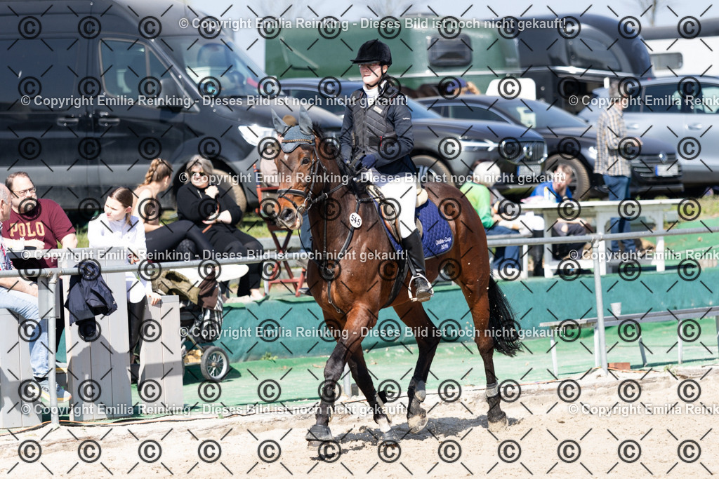 CL5A5390 | Emilia Reinking Fotografie - Realisiert mit Pictrs.com