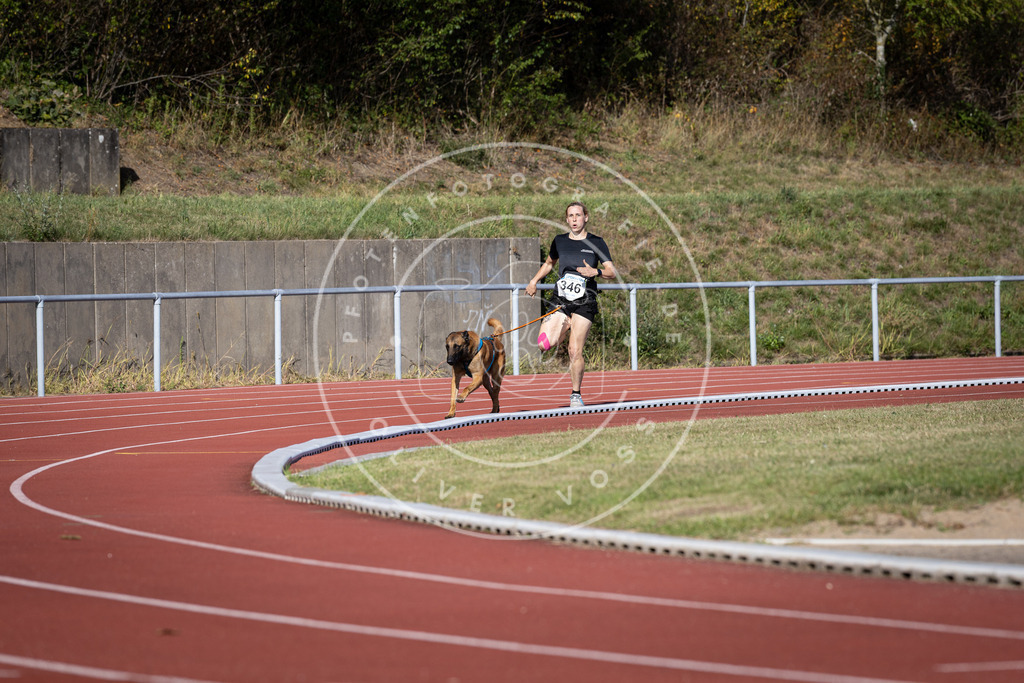 Pfotenfotografie_DV3A8749 | Hundefotografie, Tierfotograf, Pfotenfotografie, Fotoshooting Hund, Hunde Portrait, Hundesport, Hundeportraits, Heideshooting, Hunde, Sportfotograf, Hundefotograf, Turnierhundsport, THS,  - Realisiert mit Pictrs.com