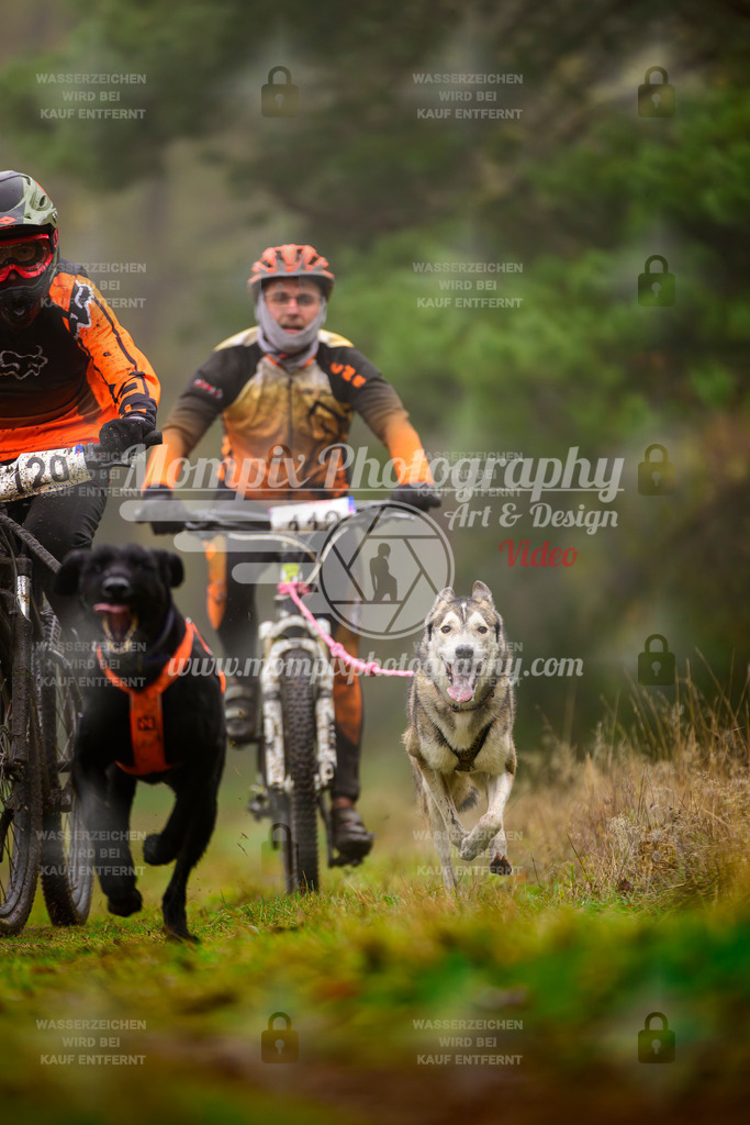 MompixPhotography_Bischwiller2025_Bike-39 | mompixphotography