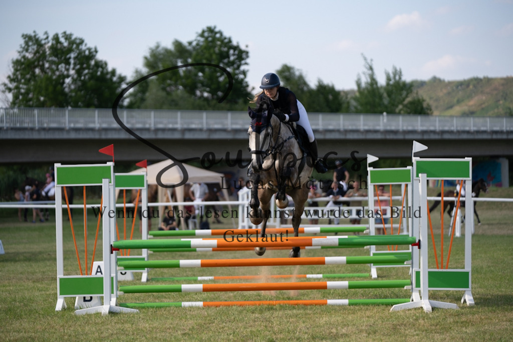 A7V00785 | Pferdefotograf