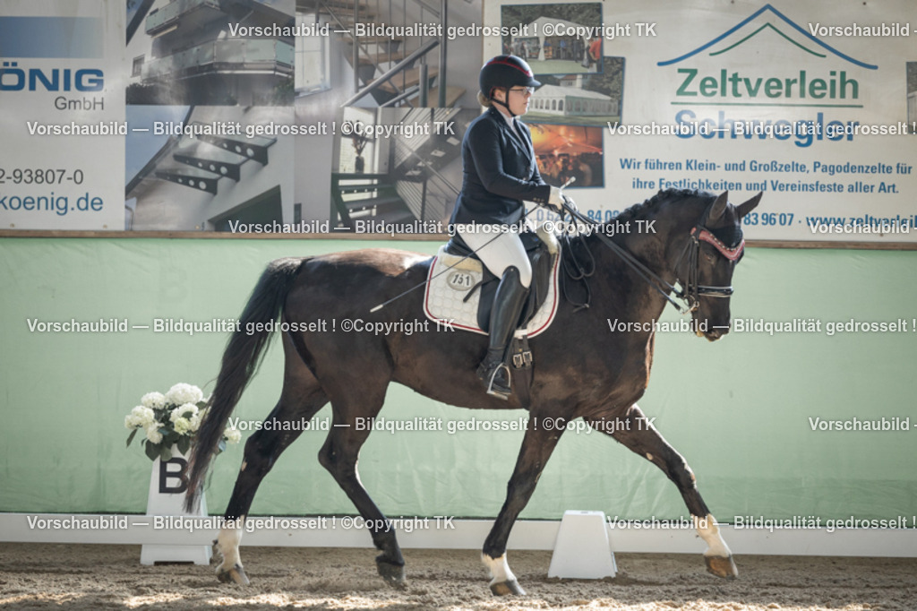 _D5A2701 | Emotionale Pferde- & People-Fotografie rund um Heidelberg, Leimen & Umgebung. Natürliche Fotos von Pferd, Mensch & Familie. Jetzt Termin sichern!