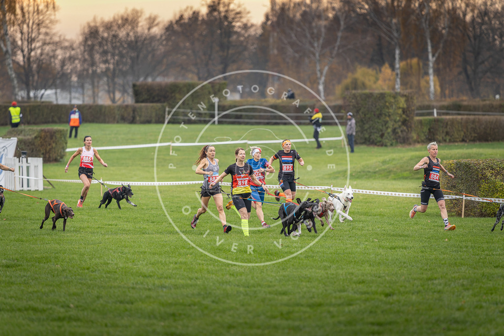 CaniXpix_DV3A6572 | Hundefotografie, Tierfotograf, Pfotenfotografie, Fotoshooting Hund, Hunde Portrait, Hundesport, Hundeportraits, Heideshooting, Hunde, Sportfotograf, Hundefotograf, Turnierhundsport, THS,  - Realisiert mit Pictrs.com