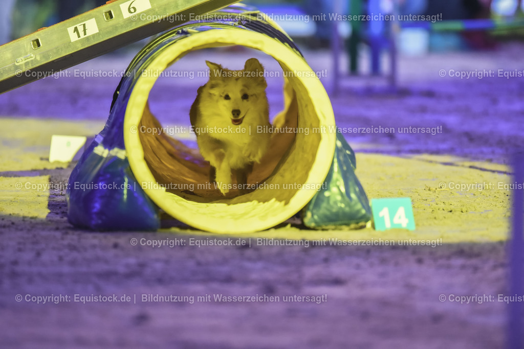 20231115_Dog-Agility_0064_TOMsPiC | Foto: Thomas Hartig