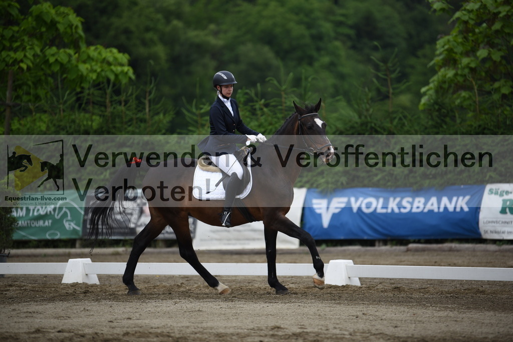DSC_8081 | equestrian-live-com