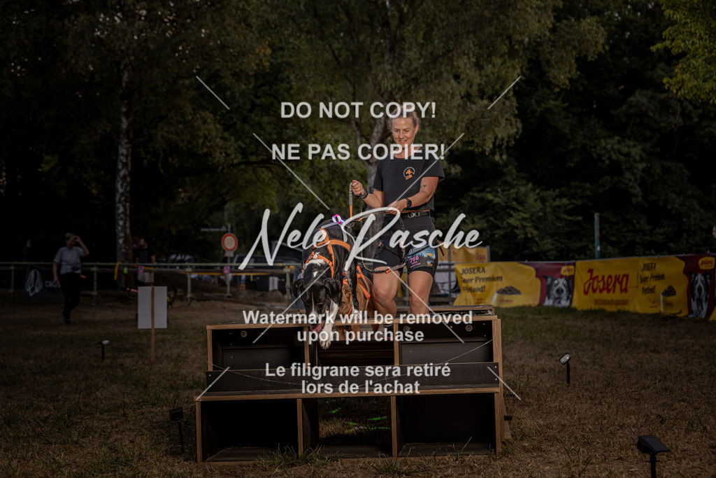 nelerasche_SummerNights26_SaBrücke2030-2100_341 | nelerasche
