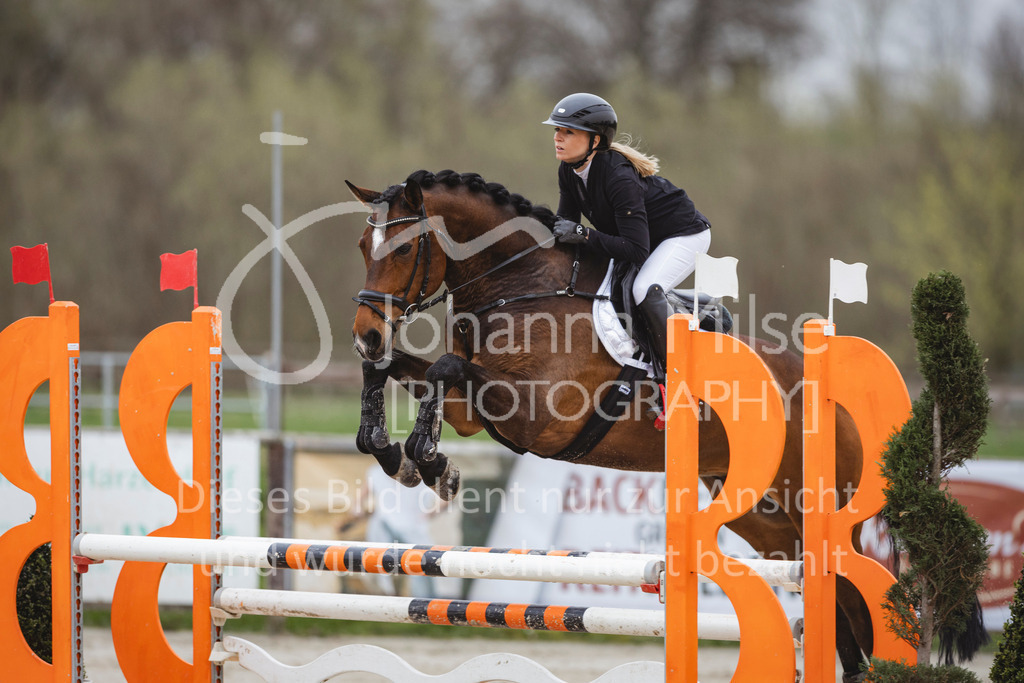 240330_Fruehlingsfest_Stil-A2-2-718 | Deine schönsten Turniermomente als professionelle Fotos! Entdecke hochwertige Pferdesport-Fotografie im Online-Shop. Jetzt Fotos finden & bestellen!