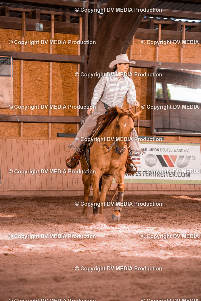 NE100771 | dv-media-shop - Realisiert mit Pictrs.com