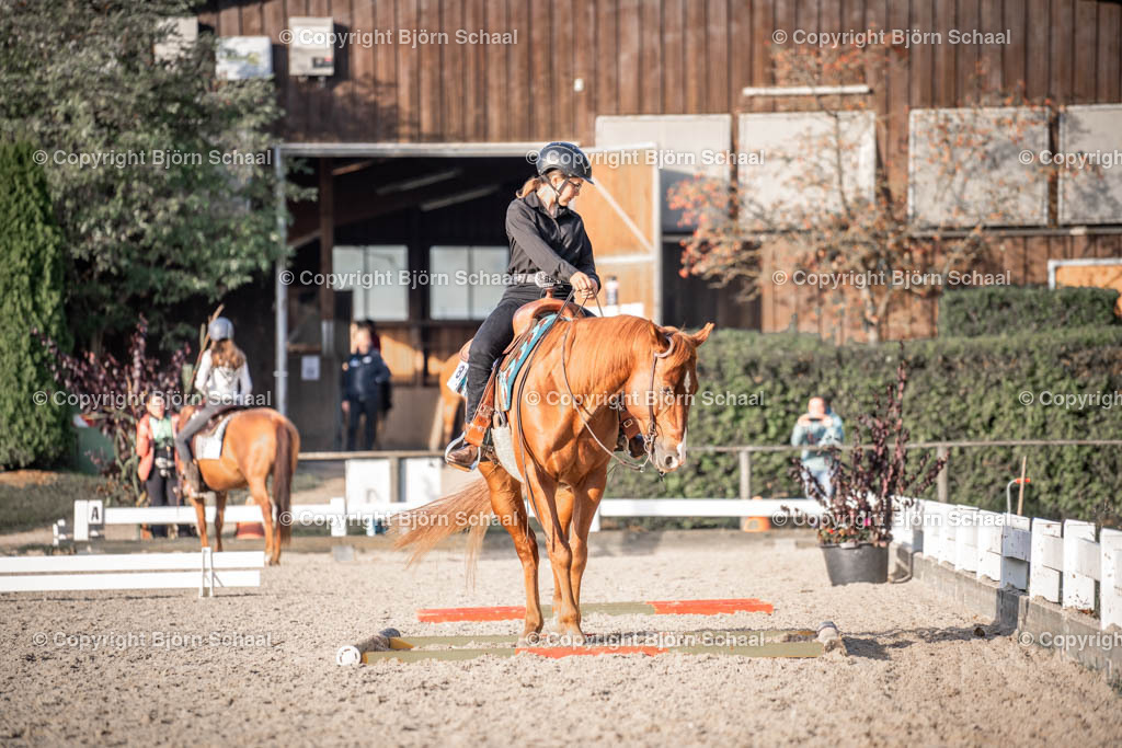 KBB09215 | BS-foto