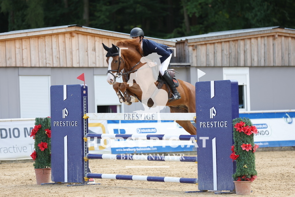 0P6A7731 | Willkommen bei Brunnmayr - Design & Fotografie – Ihrem Spezialisten für Reitturniere und Pferdeveranstaltungen in Oberösterreich, Salzburg und Bayern! Seit über 17 Jahren sind wir leidenschaftlich dabei.