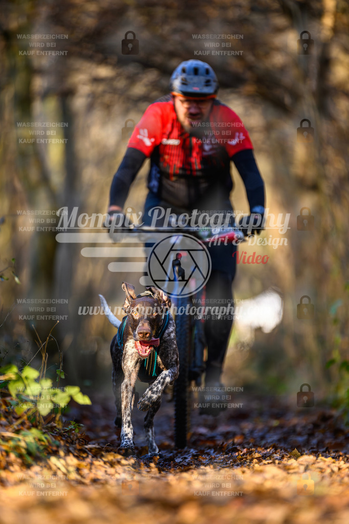 MompixPhotography_Eschau2024_Bike-20 | PayLife