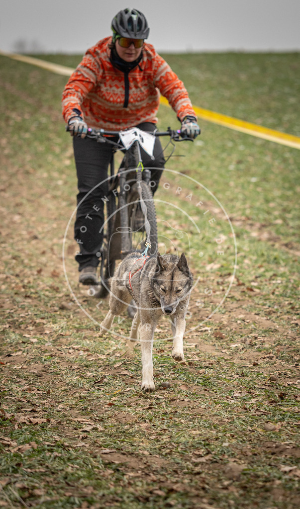 Pfotenfotografie_DV3A3210 | Hundefotografie, Tierfotograf, Pfotenfotografie, Fotoshooting Hund, Hunde Portrait, Hundesport, Hundeportraits, Heideshooting, Hunde, Sportfotograf, Hundefotograf, Turnierhundsport, THS,  - Realisiert mit Pictrs.com