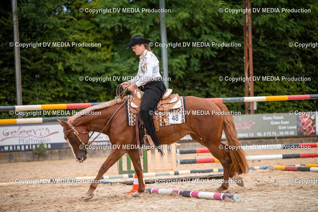 ZS2_8016 | dv-media-shop - Realisiert mit Pictrs.com