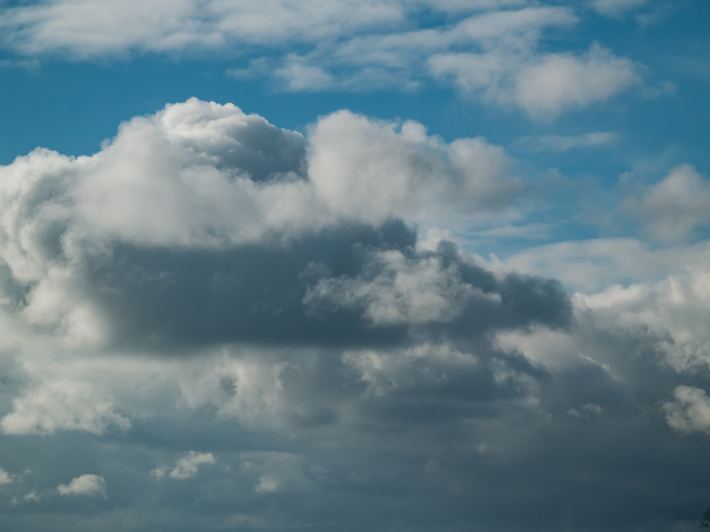 PSX_20230204_231246 | OLYMPUS DIGITAL CAMERA - Realisiert mit Pictrs.com