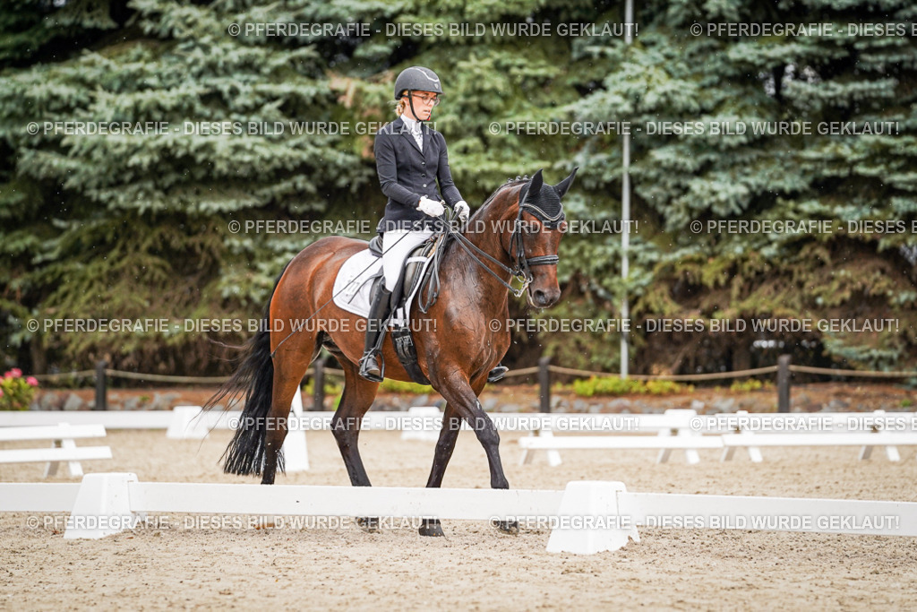 DSC04649 | Pferdegrafie