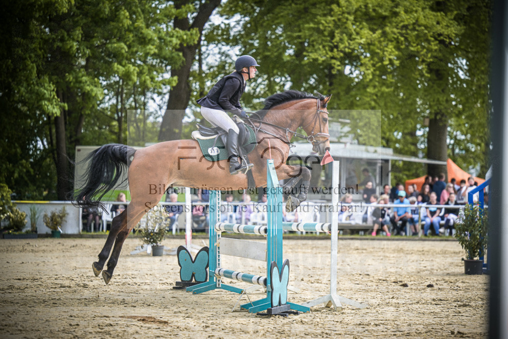 DOS_0849 | Entdecke hochwertige Reitturnierfotos von Foto Oger. Professionell, emotional und authentisch – jetzt Lieblingsmomente im Shop bestellen.Deutschlandweite Turnierfotografie. - Realisiert mit Pictrs.com