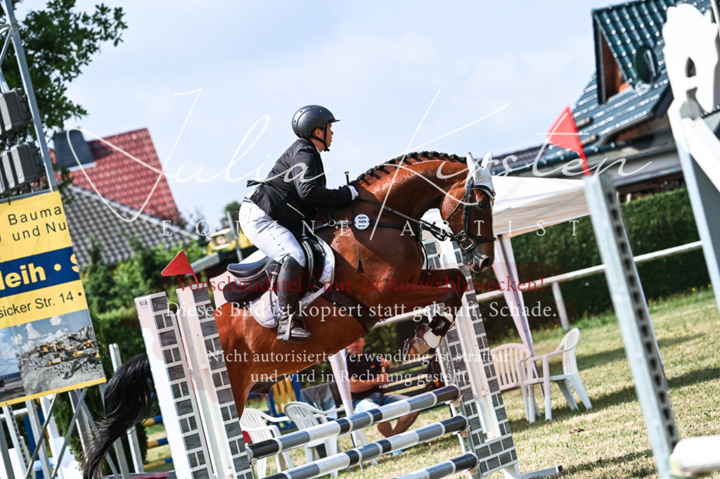 DSC_8705 | Pferde- und Turnierfotografie in Westsachsen. Pferdeportraits, Auftragszeichnungen und intuitive Kunst.