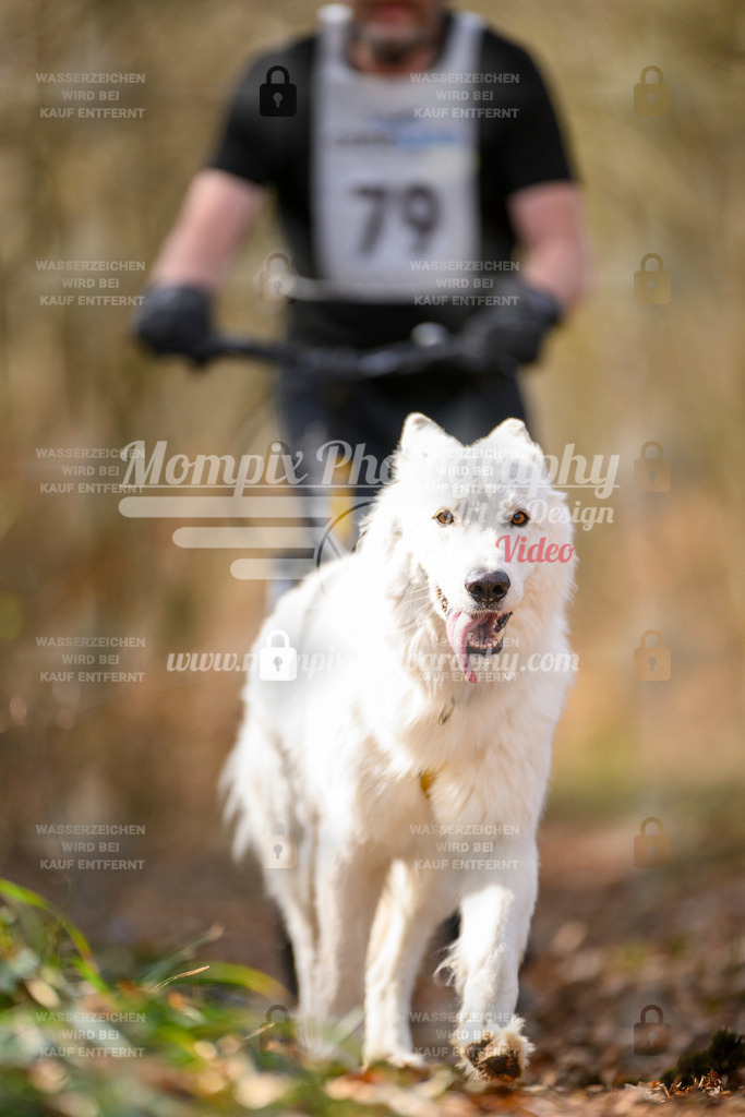 MompixPhotography_ReiatRennen2024_SO_DS1-52 | PayLife