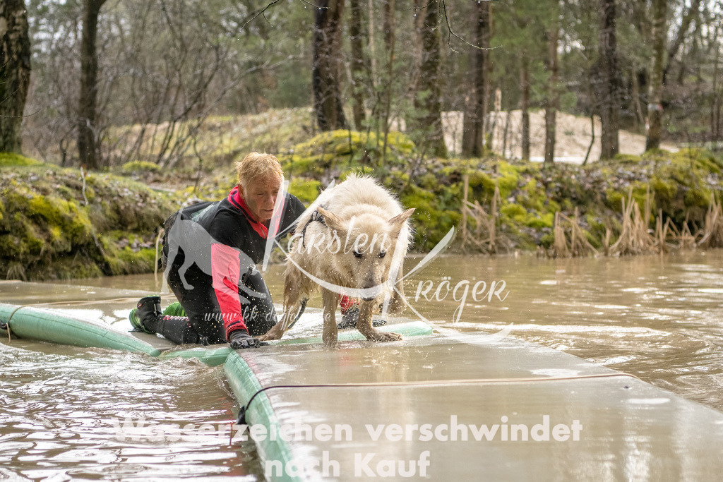 1303_ZZ94164-Bearbeitet | kk-dogfotos