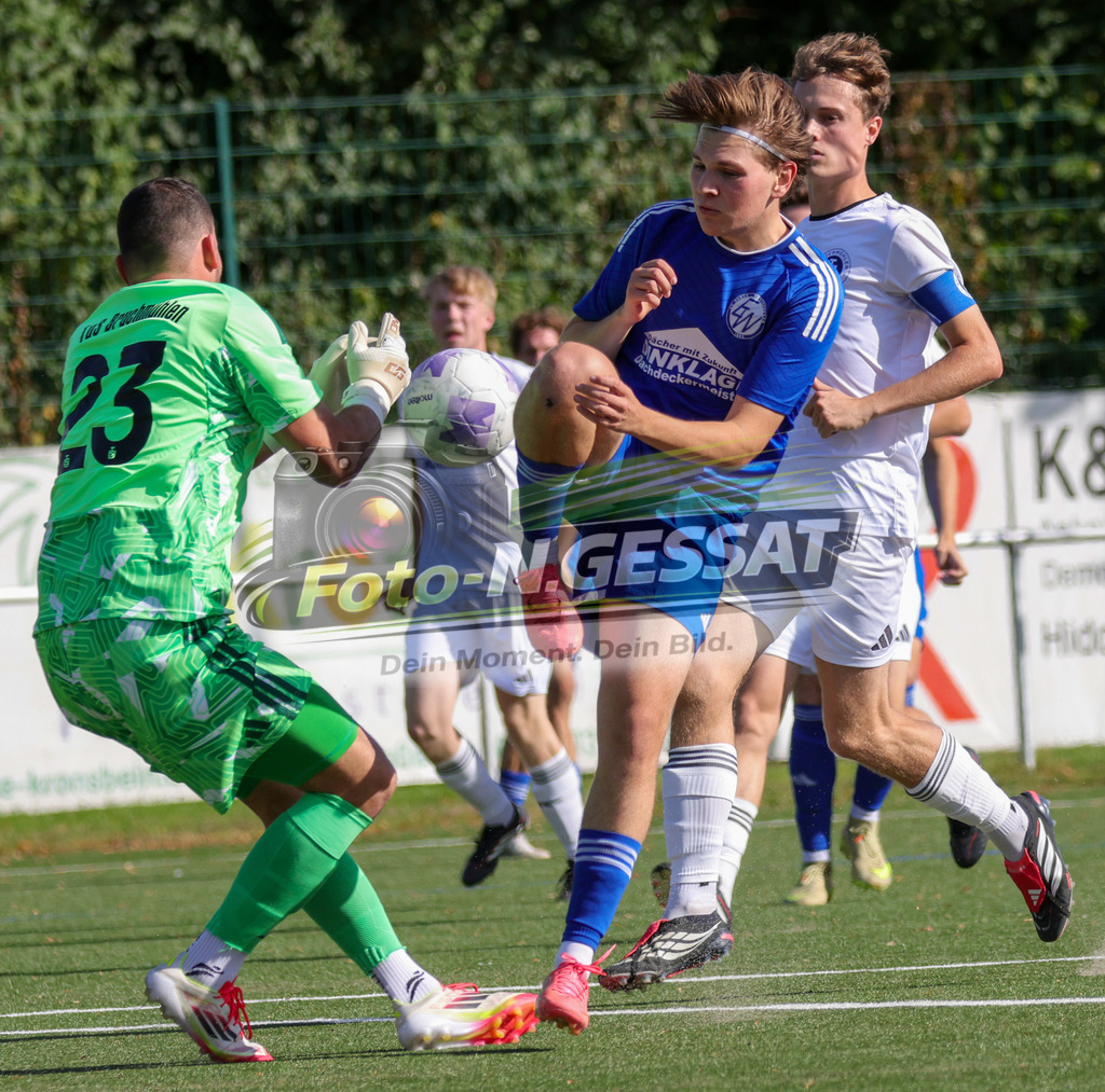SV Enger-Westerenger - TuS Bruchmühlen | Auf dem Bild zu sehen: blau SV Enger-Westerenger: Moritz Breipohl ; weiß TuS Bruchmühlen v.l.: Robin Rentz (TW), Jan WeiffenbachSV Enger-Westerenger, TuS Bruchmühlen, Saison 26/27, Kreisliga A, Enger, Deutschland - Realisiert mit Pictrs.com