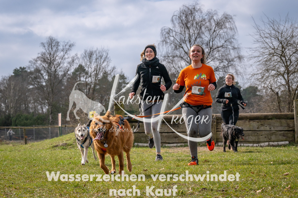 _ZZ93177 | kk-dogfotos