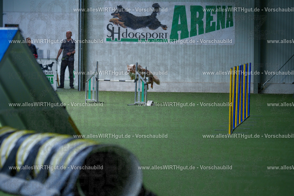 @allesWIRTHgut_Tierfotografie - www.allesWIRTHgut.de - 2604251217-7R501258 | Professionelle Tierfotografie in Mönchengladbach von Daniel Wirth (allesWIRTHgut). Liebevolle & natürliche Bilder von Hunden & Katzen für unvergessliche Erinnerungen.