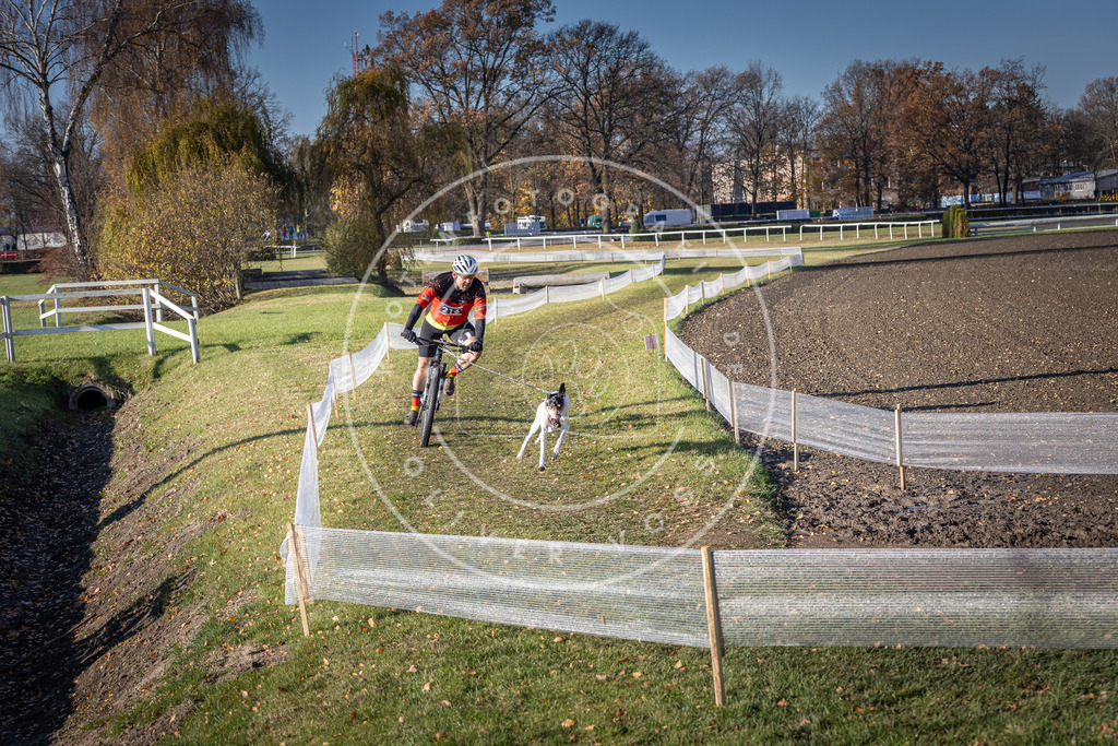 CaniXpix_DV3A3294 | Hundefotografie, Tierfotograf, Pfotenfotografie, Fotoshooting Hund, Hunde Portrait, Hundesport, Hundeportraits, Heideshooting, Hunde, Sportfotograf, Hundefotograf, Turnierhundsport, THS,  - Realisiert mit Pictrs.com