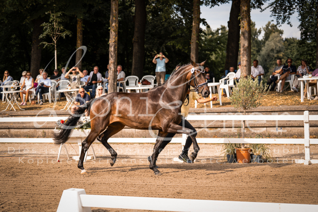 FrER00060 | Leoni Ertmer Photography - Realisiert mit Pictrs.com