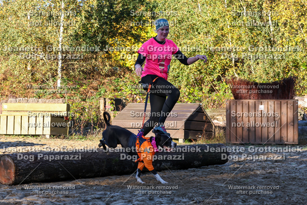 Dog Paparazzi - Strongdog 10-25-860 | Dog Paparazzi Jeanette Grottendiek Fotografie & Videografie - Realisiert mit Pictrs.com