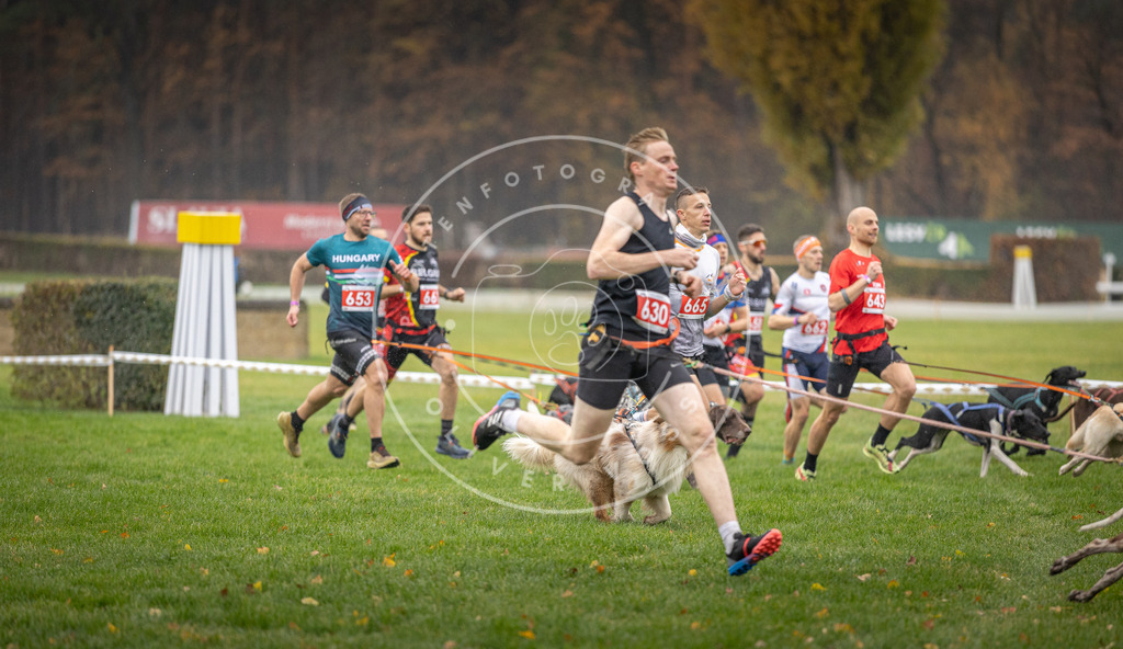 CaniXpix_DV3A9495 | Hundefotografie, Tierfotograf, Pfotenfotografie, Fotoshooting Hund, Hunde Portrait, Hundesport, Hundeportraits, Heideshooting, Hunde, Sportfotograf, Hundefotograf, Turnierhundsport, THS,  - Realisiert mit Pictrs.com
