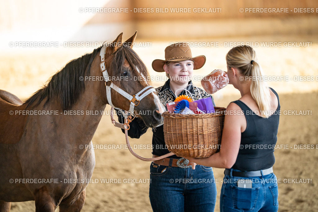 DSC07629 | Pferdegrafie