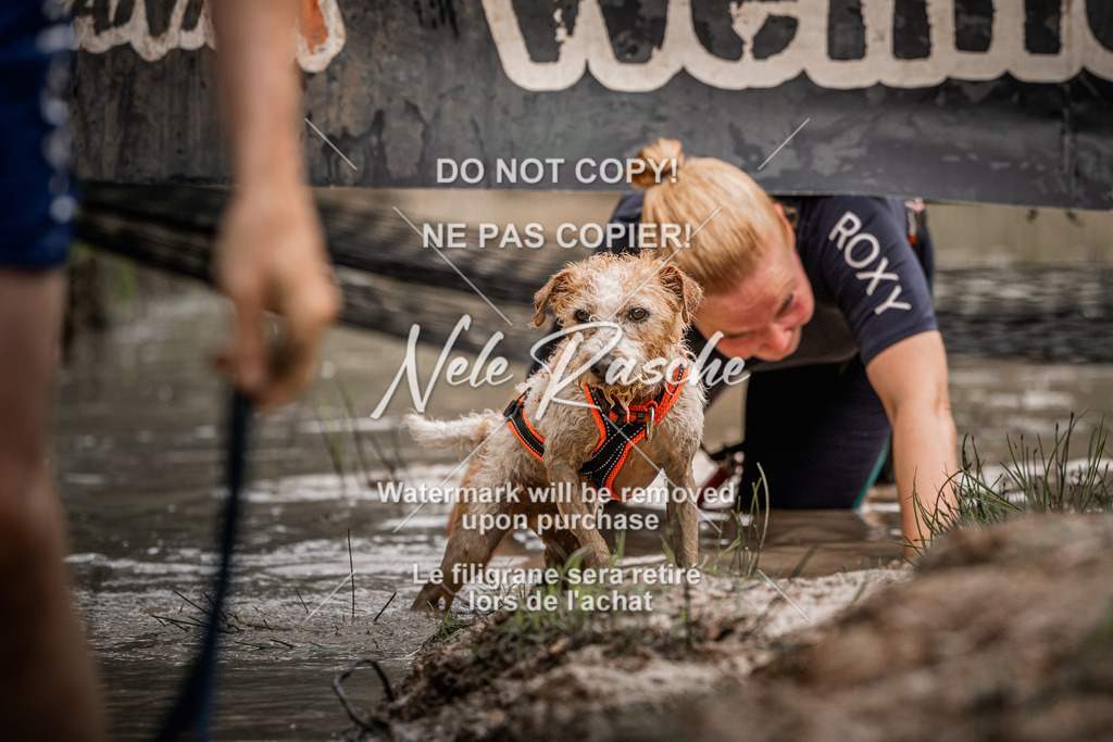 nelerasche_Hoope2026_Sa0900-0930_352 | nelerasche