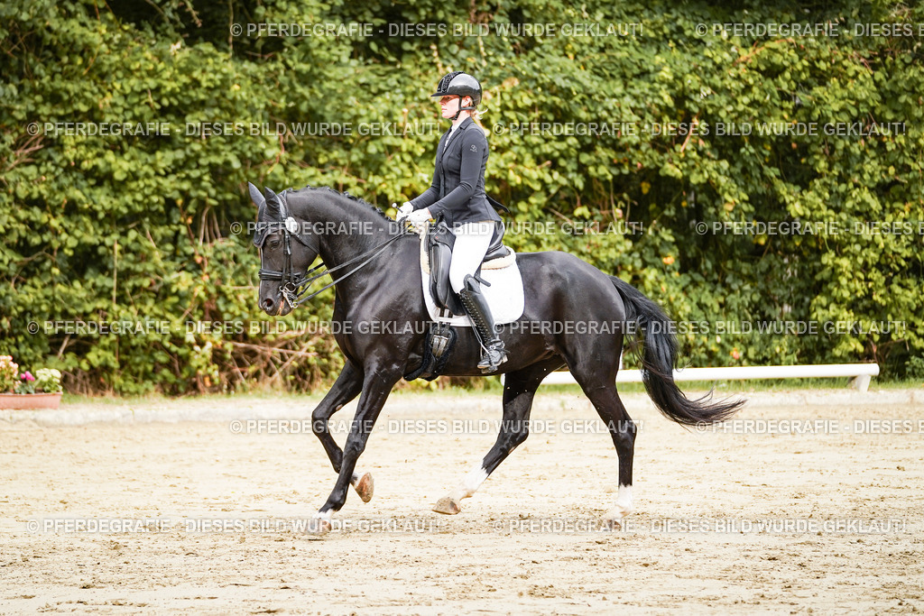 DSC03390 | Pferdegrafie